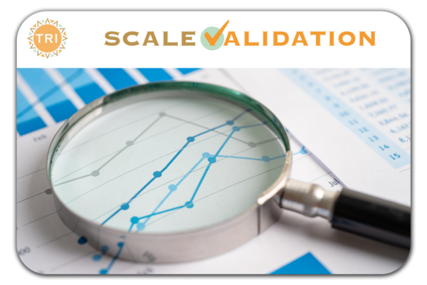 LARGE_SCALE_VALIDATION_REVISED_0201